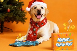 Dog Durable Bacon Chew Toys 3-Pack