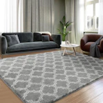 Area Rug