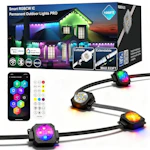 Permanent Outdoor Lights