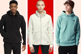 ebay the north face jacket