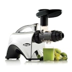 Omega Juicer Nutrition System