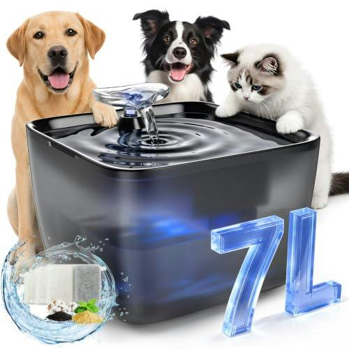 Pet Water Fountain