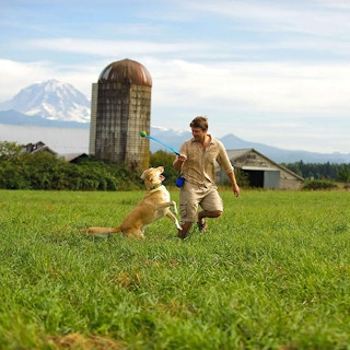 amazon chuckit launcher 1619550559 1619550559