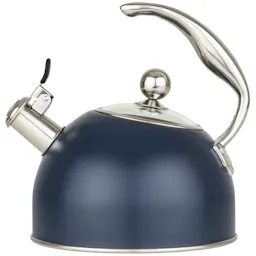 Stainless Steel Whistling Kettle