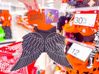 Target-Boots-and-Barkley-pet-costumes-1