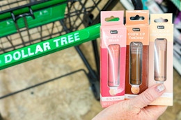 Latest Dollar Tree Beauty Dupes, as Low as $1.25 Each card image