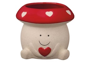 Belavi Valentine's Day Planter