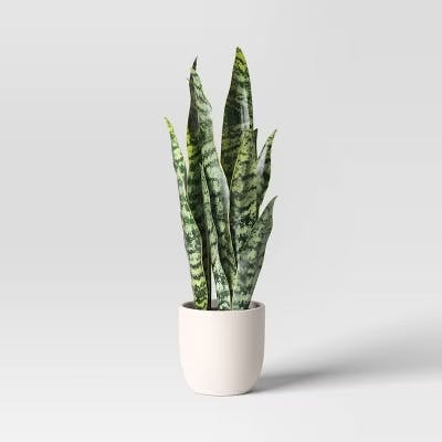 Threshold Tabletop Faux Snake Plant
