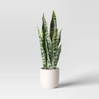 Threshold Tabletop Faux Snake Plant