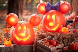 large light up mickey and minnie mouse pumpkins 