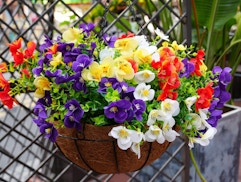 Artificial Hanging Flowers, as Low as $17.49 on Amazon card image