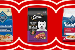 pet food on a grid