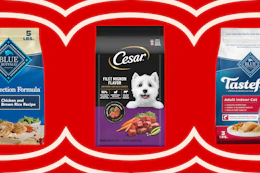 pet food on a grid