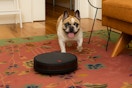 The Home Depot robotic vacuum