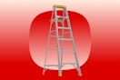 Werner 6-foot step ladder