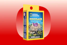 dinosaur excavation kit