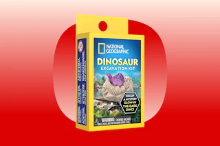 dinosaur excavation kit