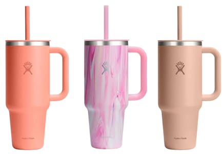 Hydro Flask Travel Tumbler