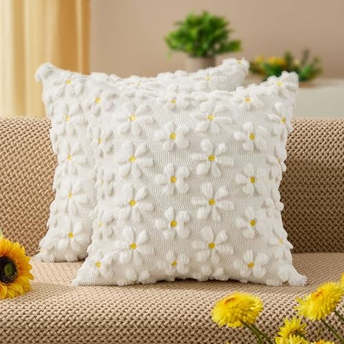 Pillow Covers