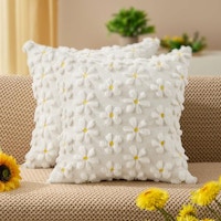 Pillow Covers