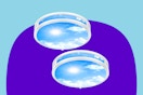 B0FCFDT2HC ceiling lights