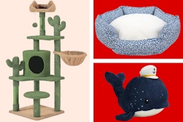 Top 5 Online Clearance Deals to Get at Petco card image