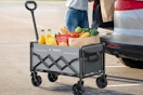 a woman using a cart for groceries