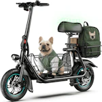 Electric Scooter with Seat