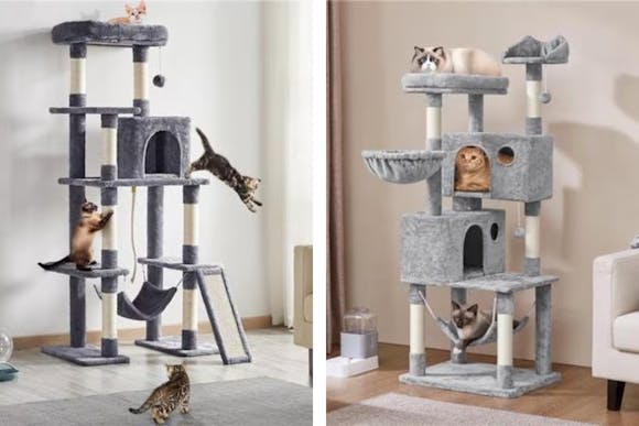 Cat Trees Start at $30 at Chewy With $20 New Customer Gift Card