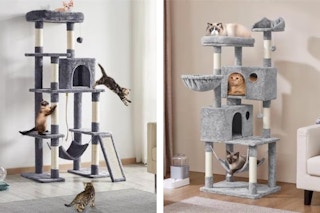 Cat Trees