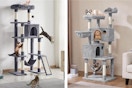 Cat Trees