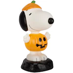 Lighted Snoopy Pumpkin Blow Mold