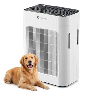 Dr. Prepare Air Purifier