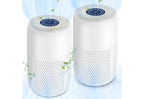 HEPA Air Purifier 2-Pack