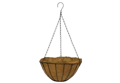 Vigoro Hanging Basket