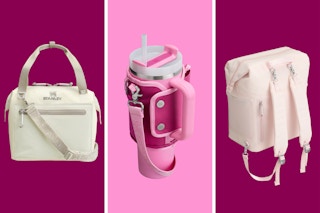 new summer stanley tumbler accessories