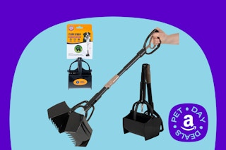 arm and hammer scooper