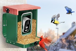 Bird Feeder B0DGTD7H7W