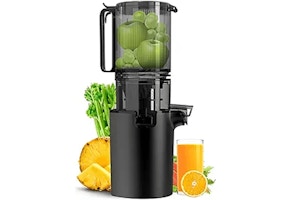 Cold Press Juicer