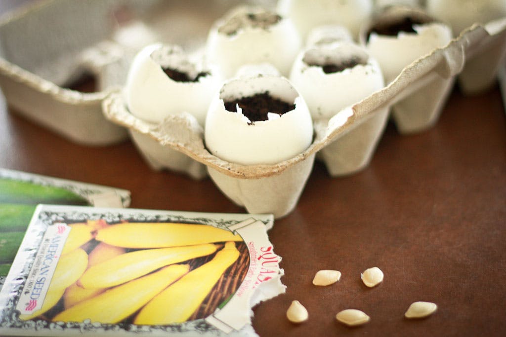 23 Genius Garden Hacks You'll Regret Not Knowing