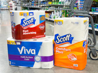 scott-toilet-paper-and-viva-paper-towels