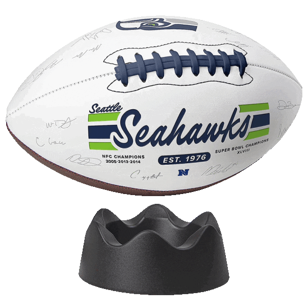 NFL 2023 Replica Signature Ball