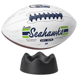 NFL 2023 Replica Signature Ball