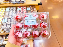 hand holding a pack of kroger bakery mini cupcakes