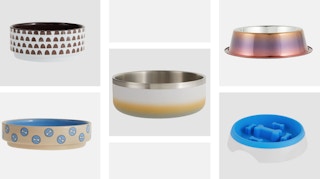collage image of 5 dog bowls