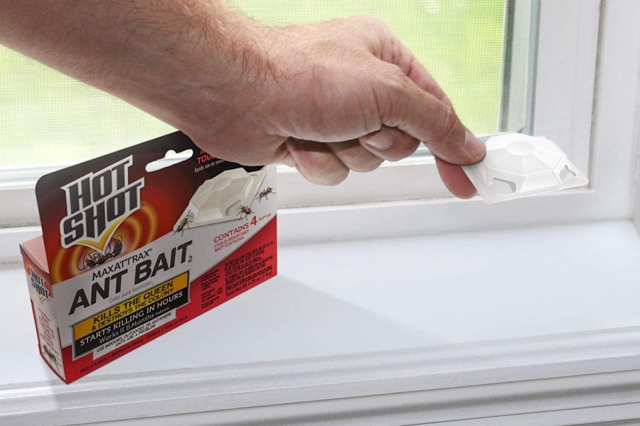 Hot Shot ant bait