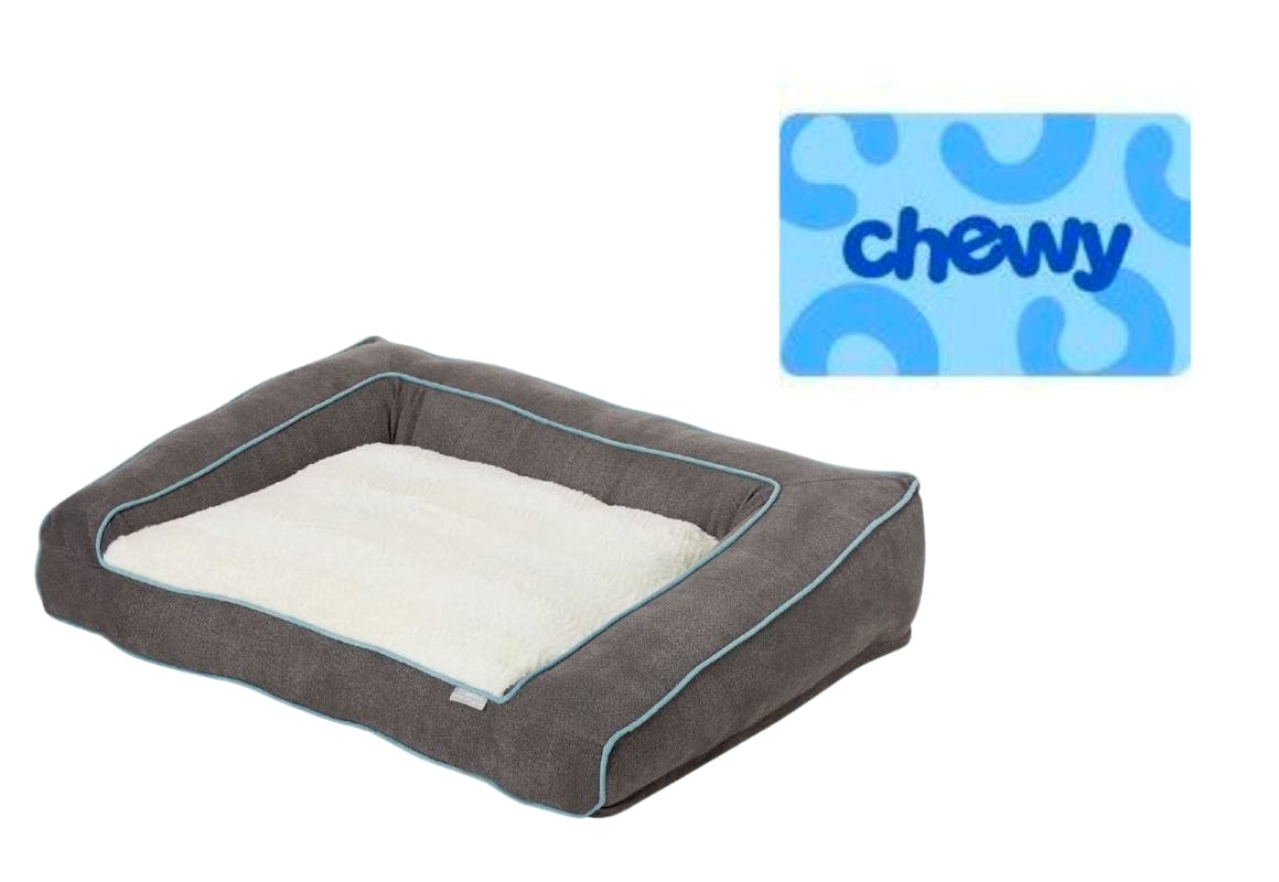 Frisco Orthopedic Sofa Bed