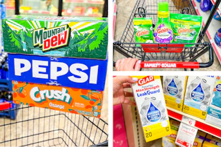 family-dollar-shopping-haul-pepsi-gain-glad
