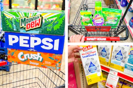 family-dollar-shopping-haul-pepsi-gain-glad