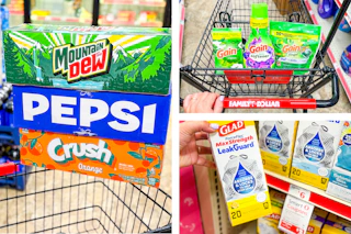 family-dollar-shopping-haul-pepsi-gain-glad